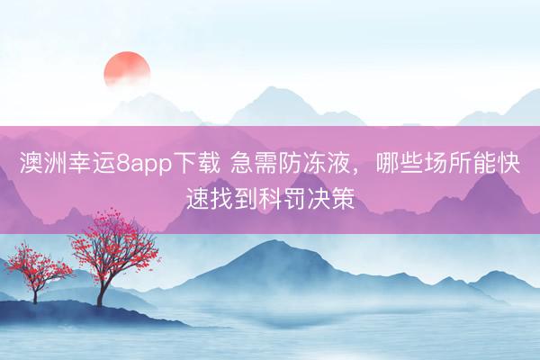 澳洲幸運8app下載 急需防凍液，哪些場所能快速找到科罰決策