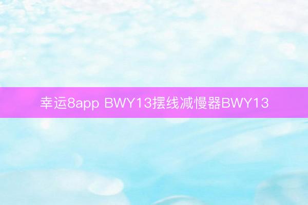 幸運8app BWY13擺線減慢器BWY13